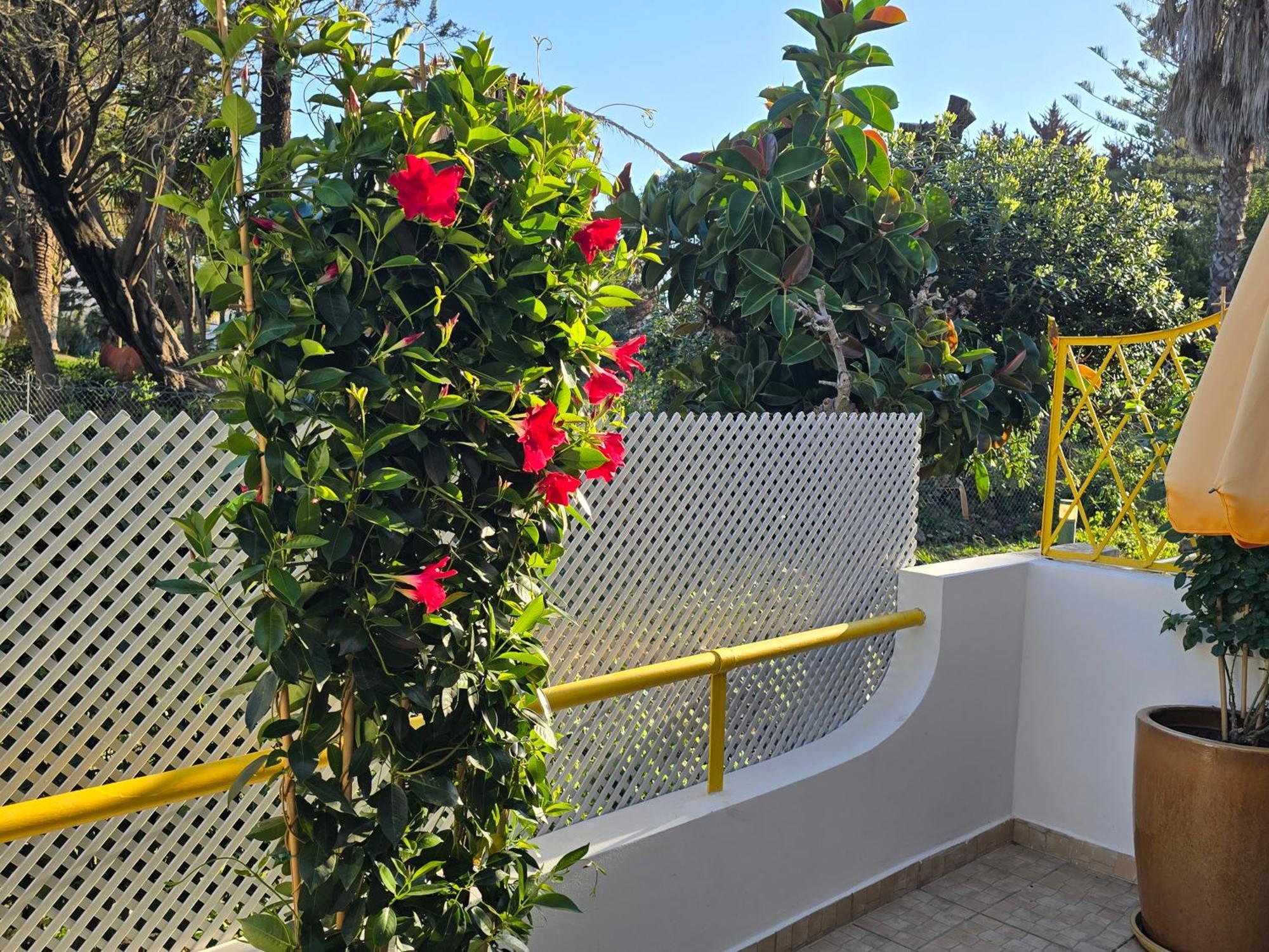 Apartamento Victoria Vilamoura Buitenkant foto