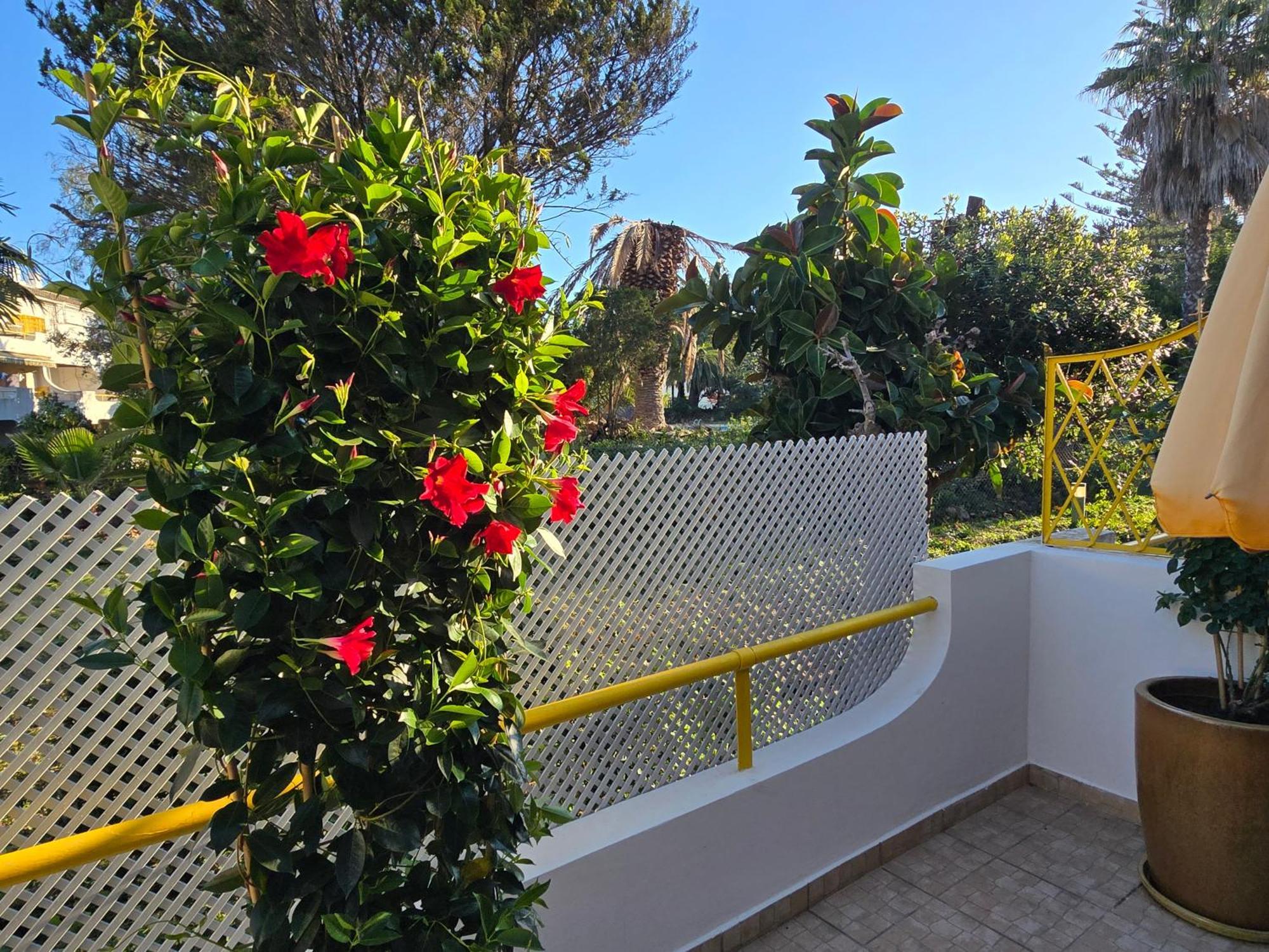 Apartamento Victoria Vilamoura Buitenkant foto